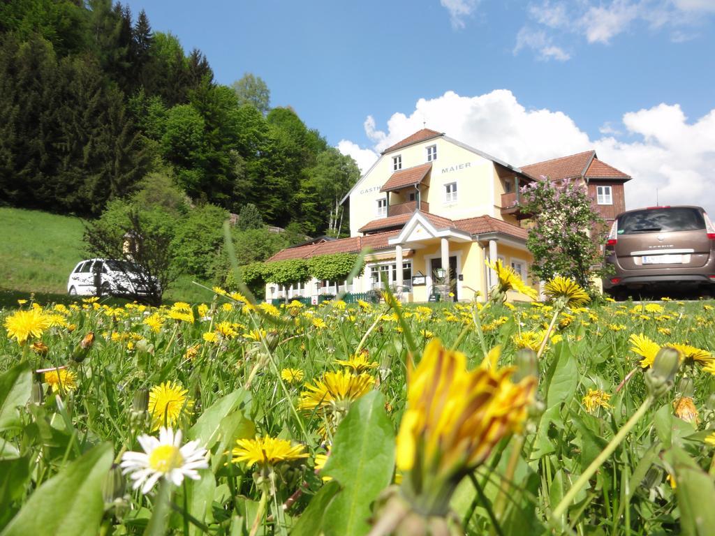 Hôtel Familiengasthof Maier à Mautern In Steiermark Extérieur photo